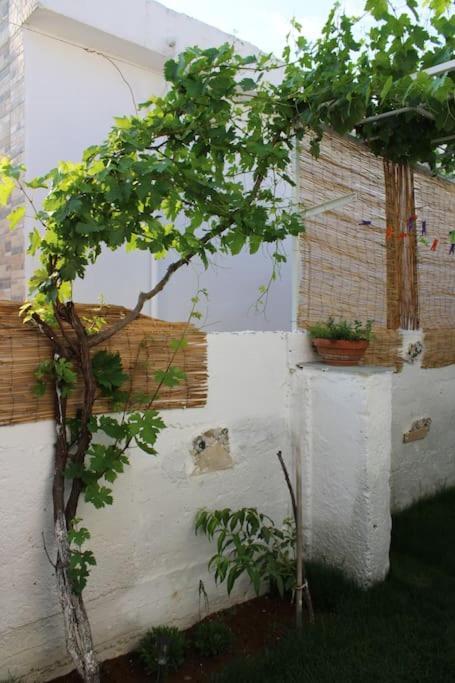 Mantra1 Βίλα Σωζόπολη Εξωτερικό φωτογραφία